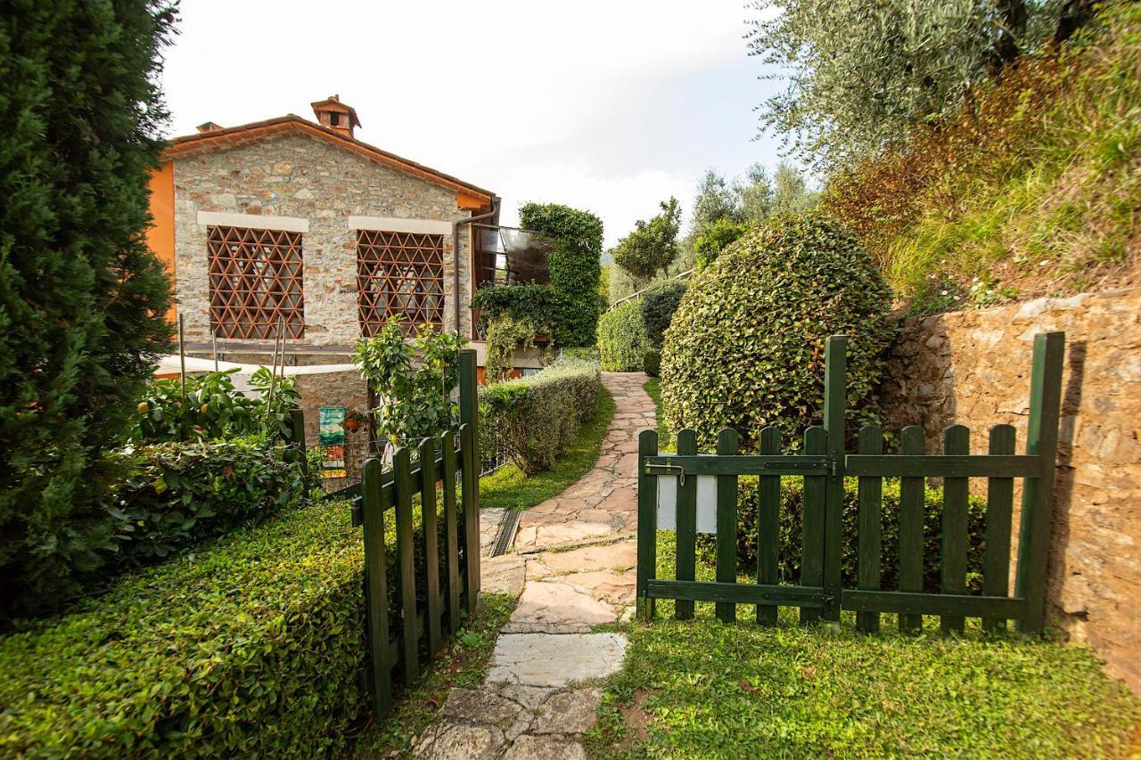 Casetta Di Butia, Gelsomino Apartment Borgo a Mozzano Exteriér fotografie