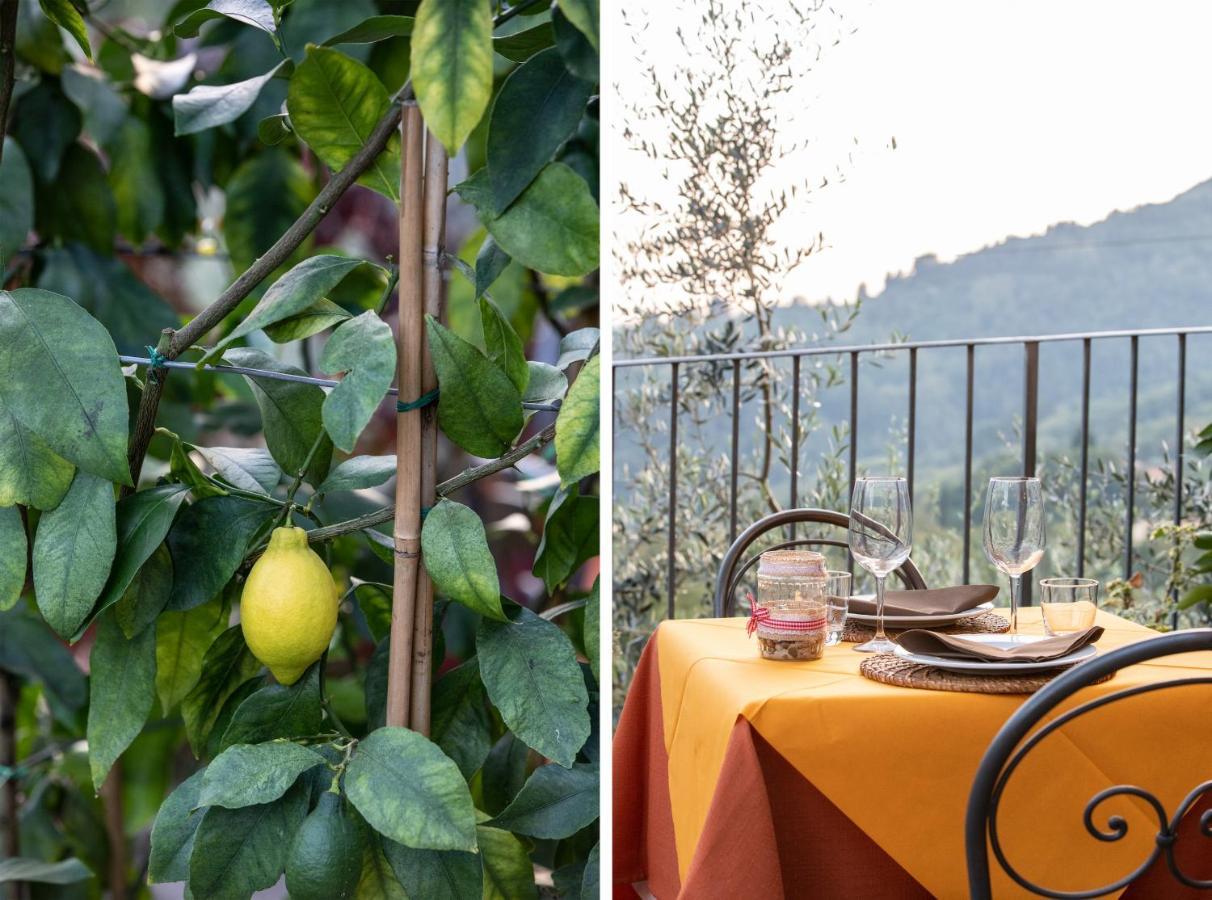 Casetta Di Butia, Gelsomino Apartment Borgo a Mozzano Exteriér fotografie