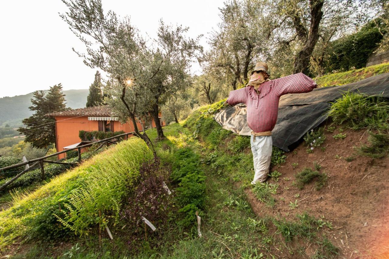 Casetta Di Butia, Gelsomino Apartment Borgo a Mozzano Exteriér fotografie