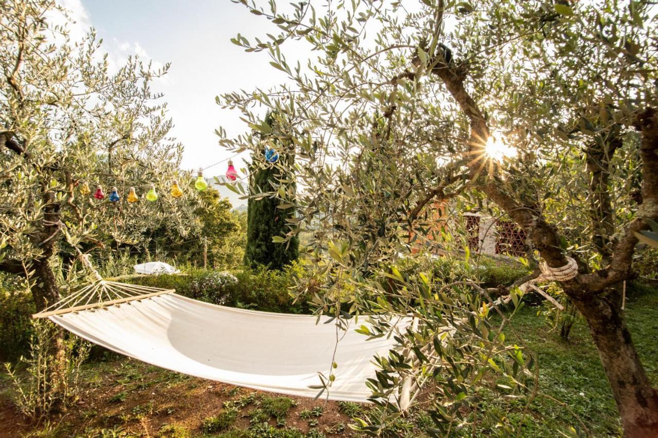 Casetta Di Butia, Gelsomino Apartment Borgo a Mozzano Exteriér fotografie